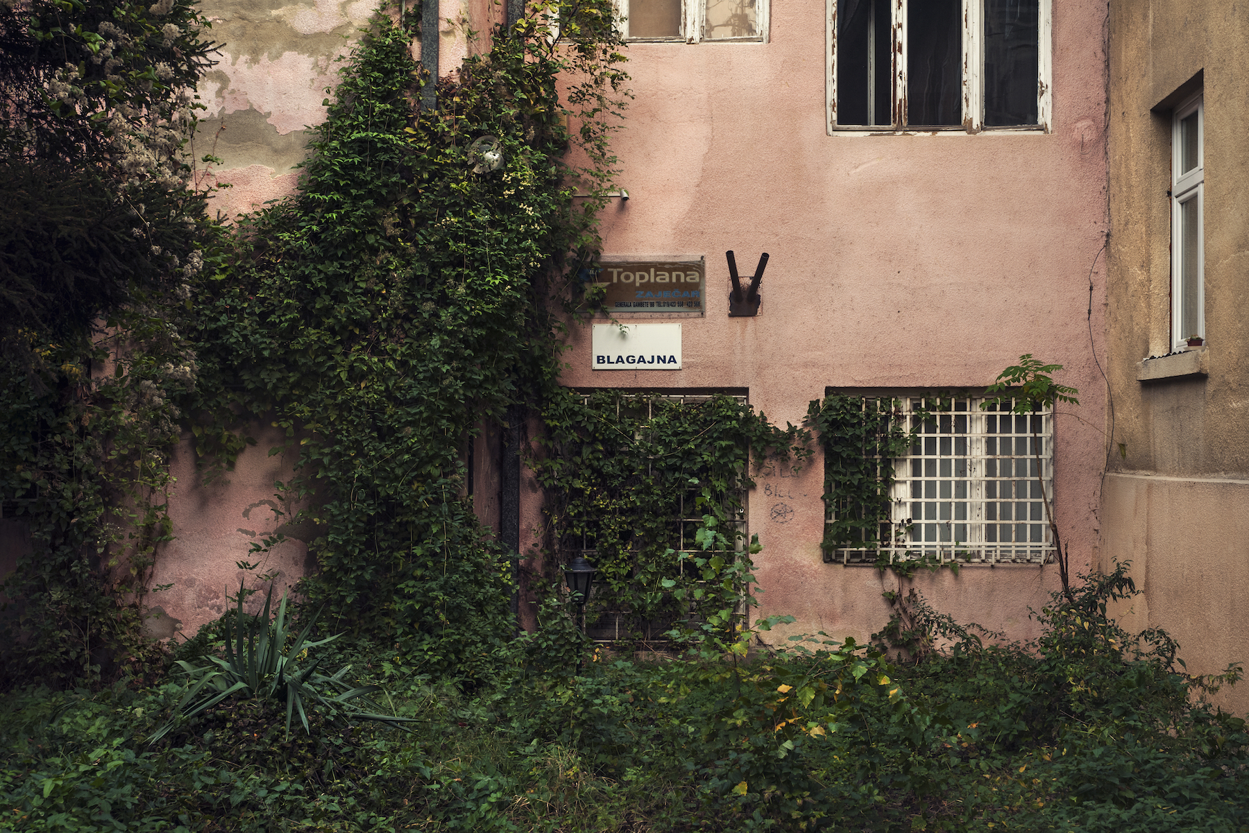 Blagajna - Mikica Andrejić